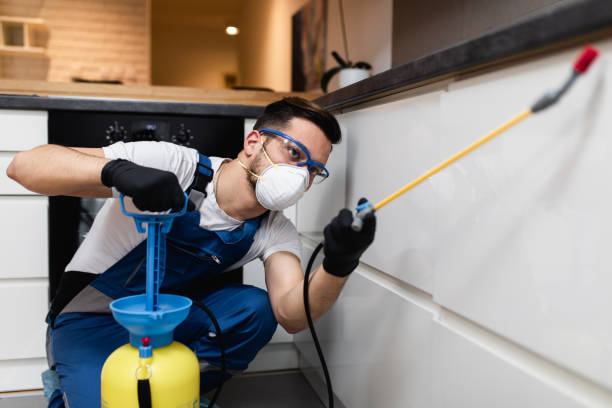 Best Pest Prevention Services  in Albany, IN