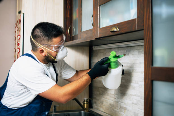 Reliable Albany, IN Pest Control Solutions