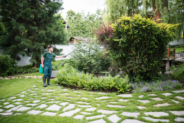 Best Pest Control Treatment  in Albany, IN