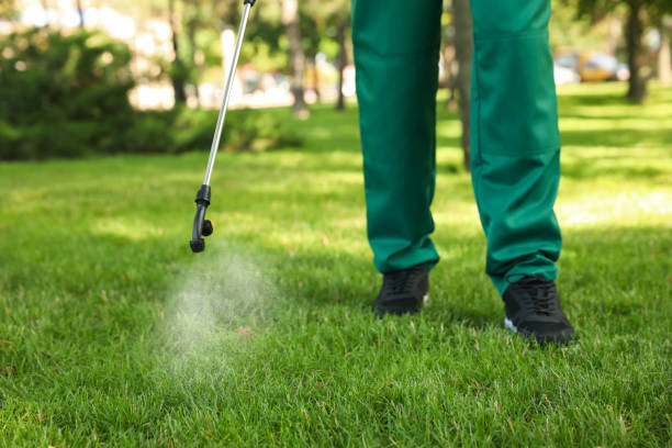 Best Pest Prevention Services  in Albany, IN