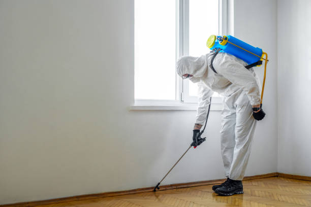 Pest Prevention Services in Albany, IN