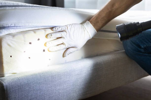 Best Pest Prevention Services  in Albany, IN