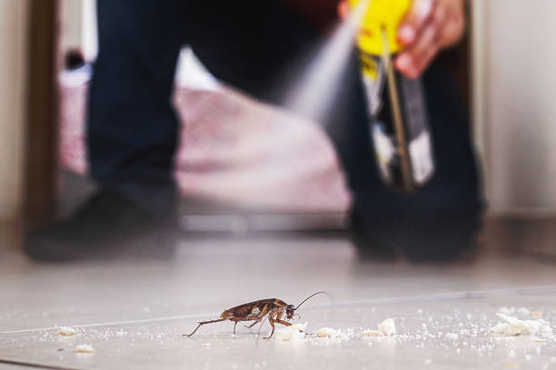 Best Commercial Pest Control Services  in Albany, IN