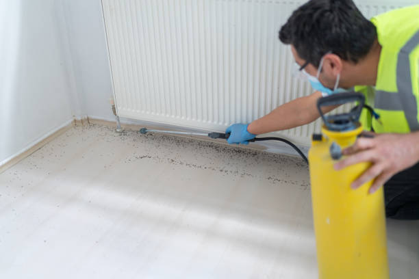 Best Pest Removal Services  in Albany, IN